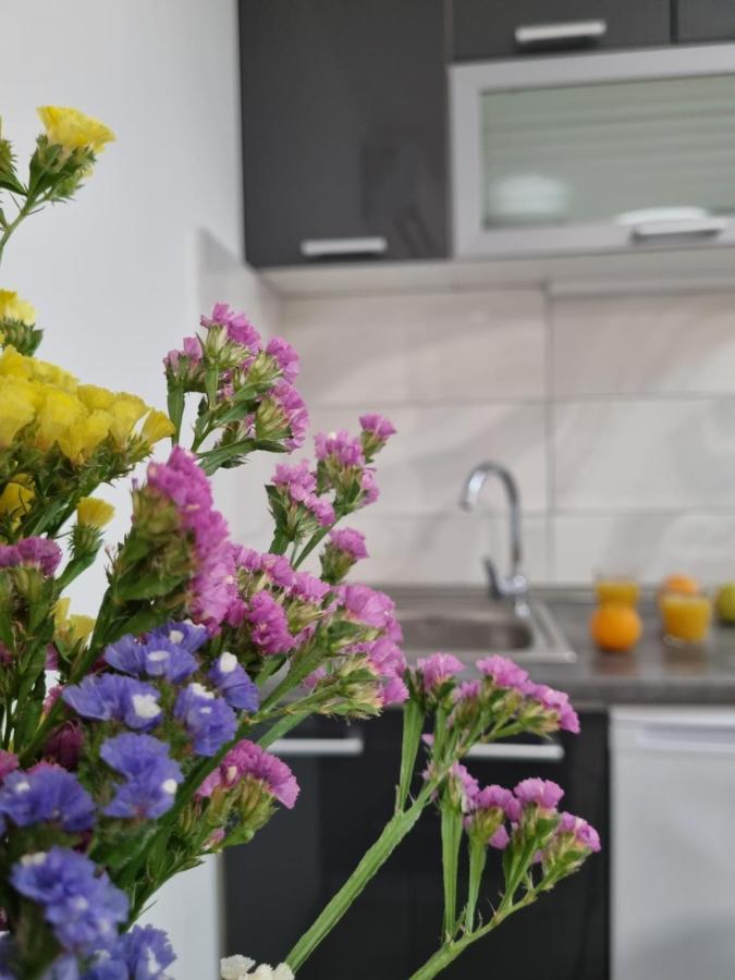 Studio Apartment Rosalie 스플리트 외부 사진